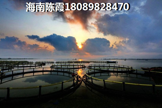 河南公寓能买吗，鹤壁公寓出租信息