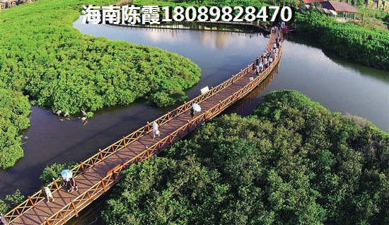 鹤壁哪里的房子生纸空间大