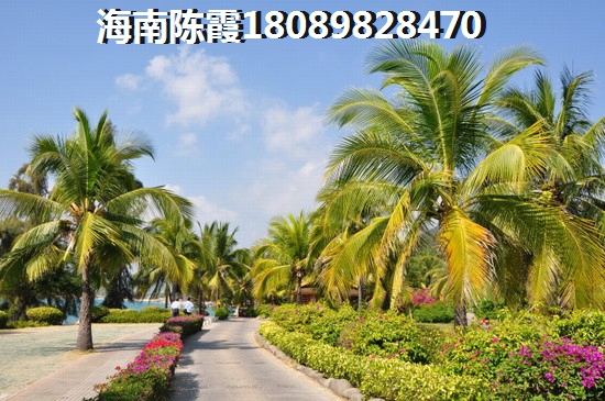 名门·俏江南生纸原因详细分析！